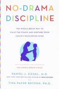 No-Drama Discipline