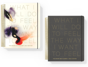 Gift ideas: Desire Map Planner Collection