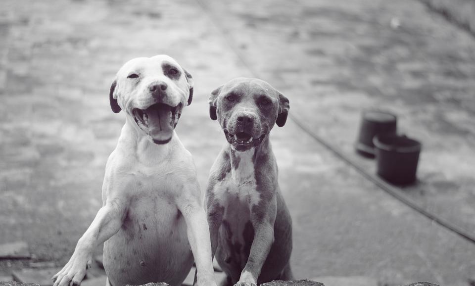 Friendships take work. Maintaining friendships mean acting like a true friend in both good and bad times. Are you a good friend?