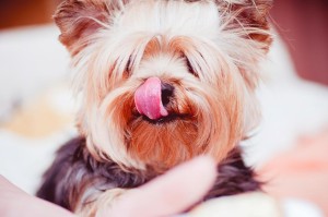 My girlfriends share their advice on how to get out of a funk and into a good mood fast. These 51 tips will have you feeling happy and confident again!